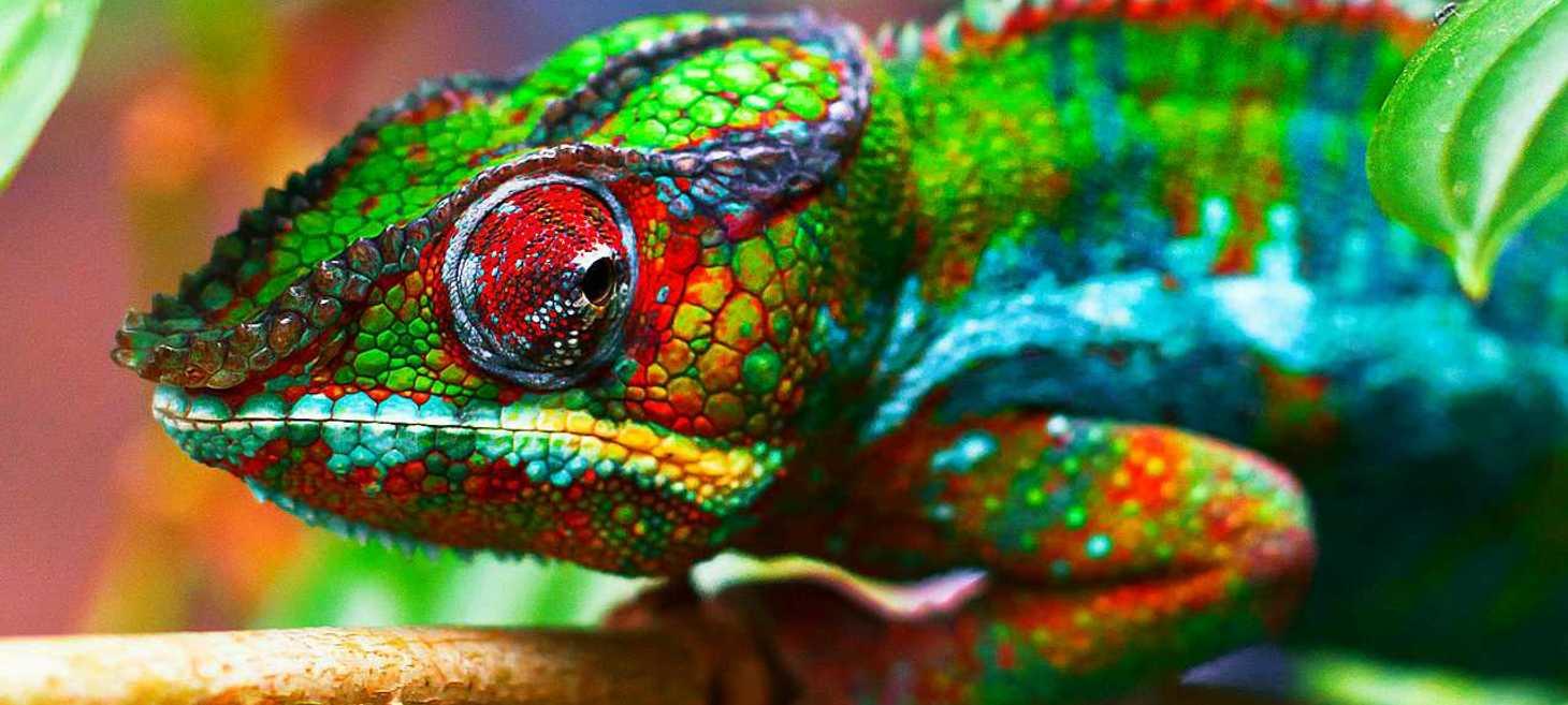 What makes a good Product Manager?