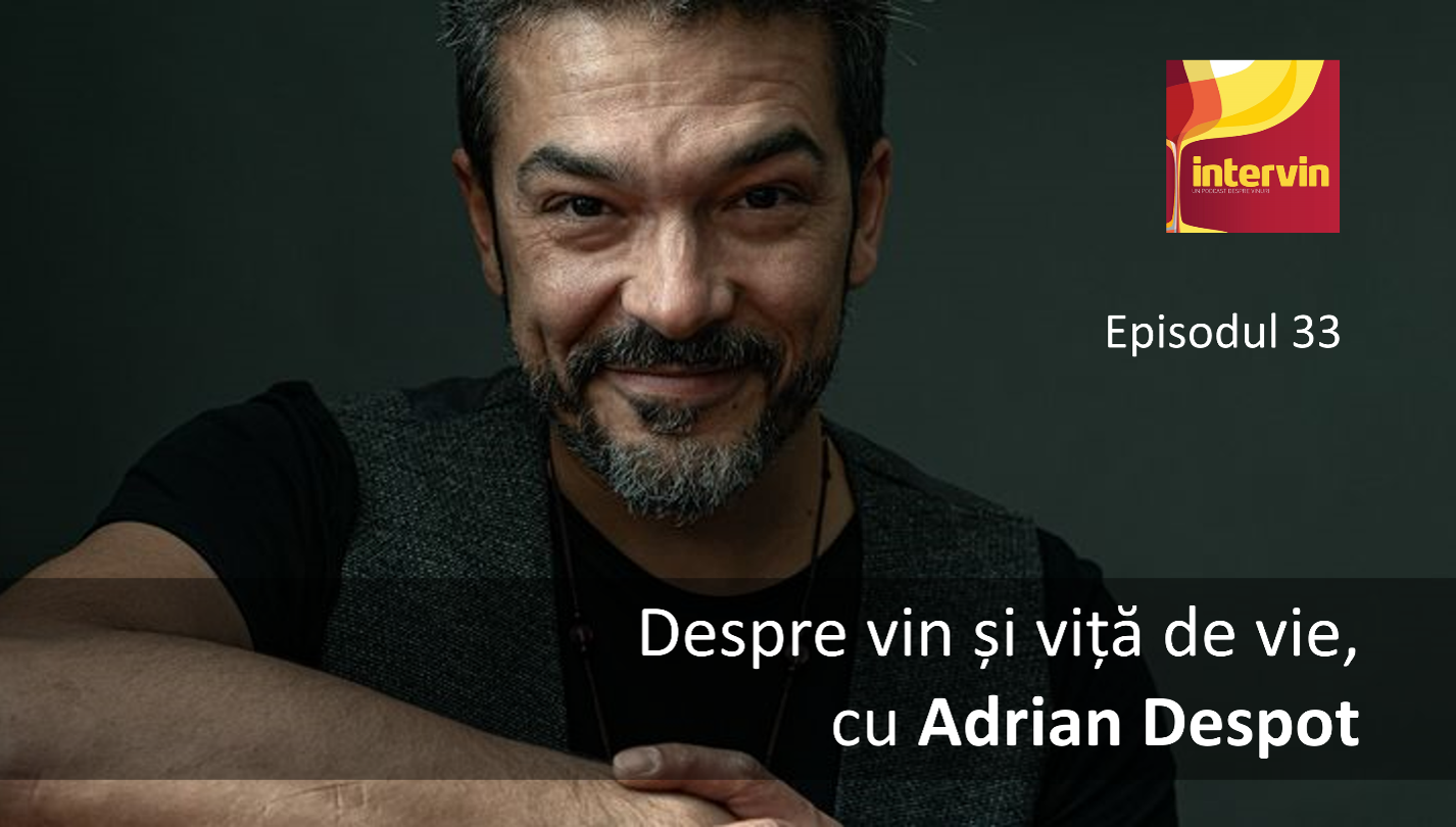 Episodul 33 - Despre vin și viță de vie, cu Adrian Despot