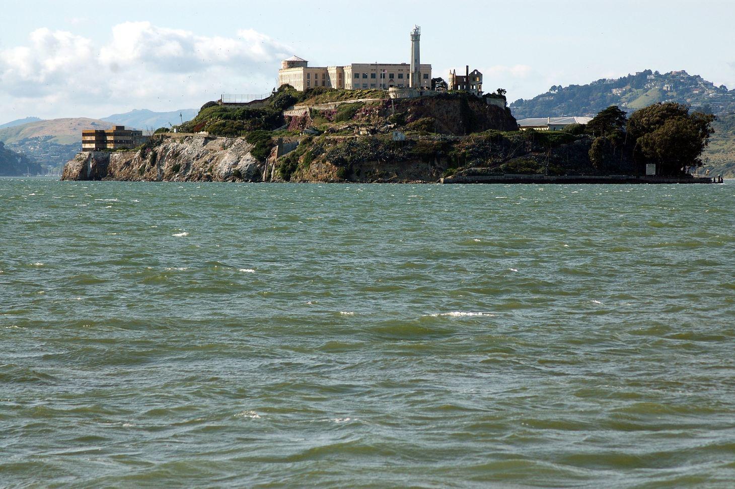 Rare Color on The Rock: Gardens and Sages of Alcatraz Island