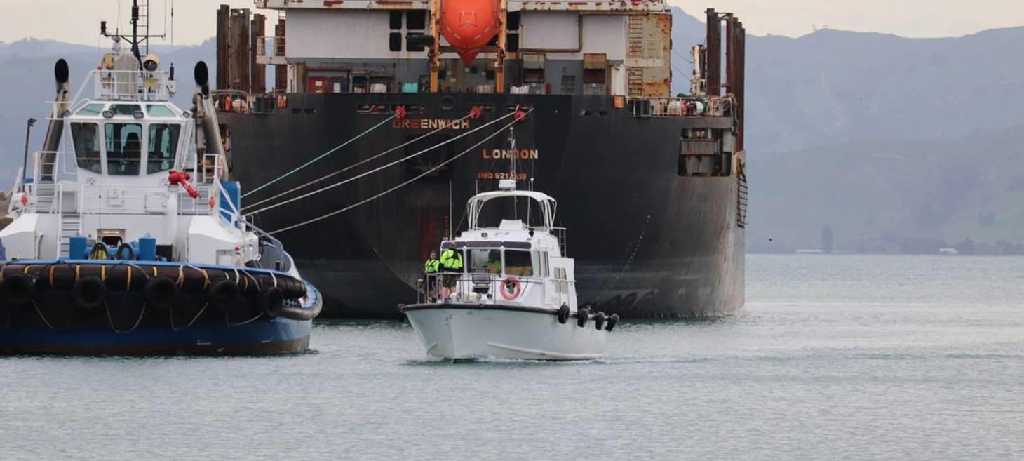 Myanmar crewman jumped off ship to seek asylum in New Zealand
