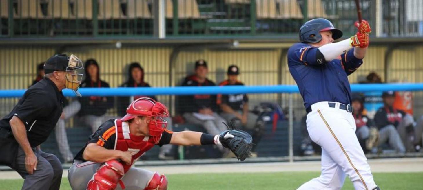 Australian baseball team Perth Hear will pay its players and staff in bitcoin.