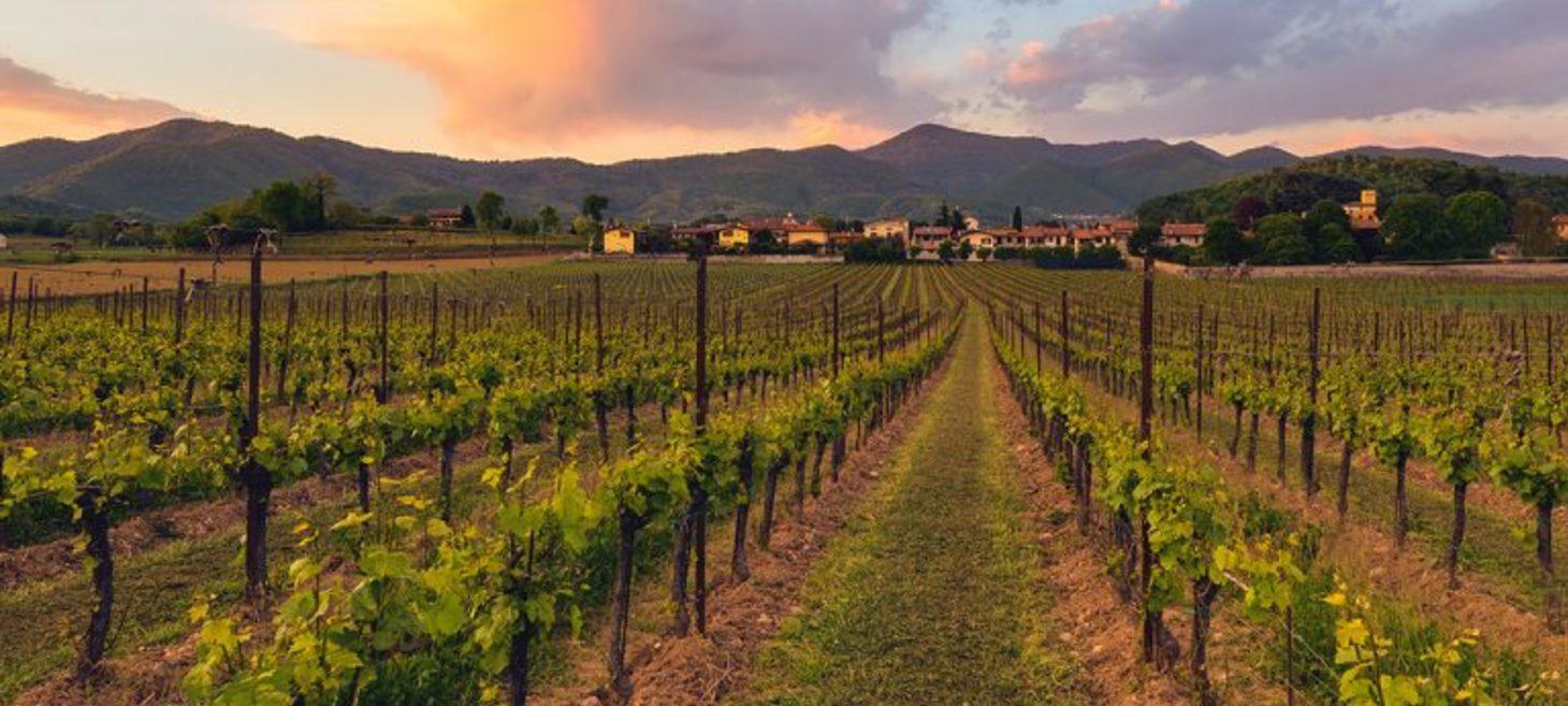 Franciacorta - secretul cel mai bine păstrat al Italiei
