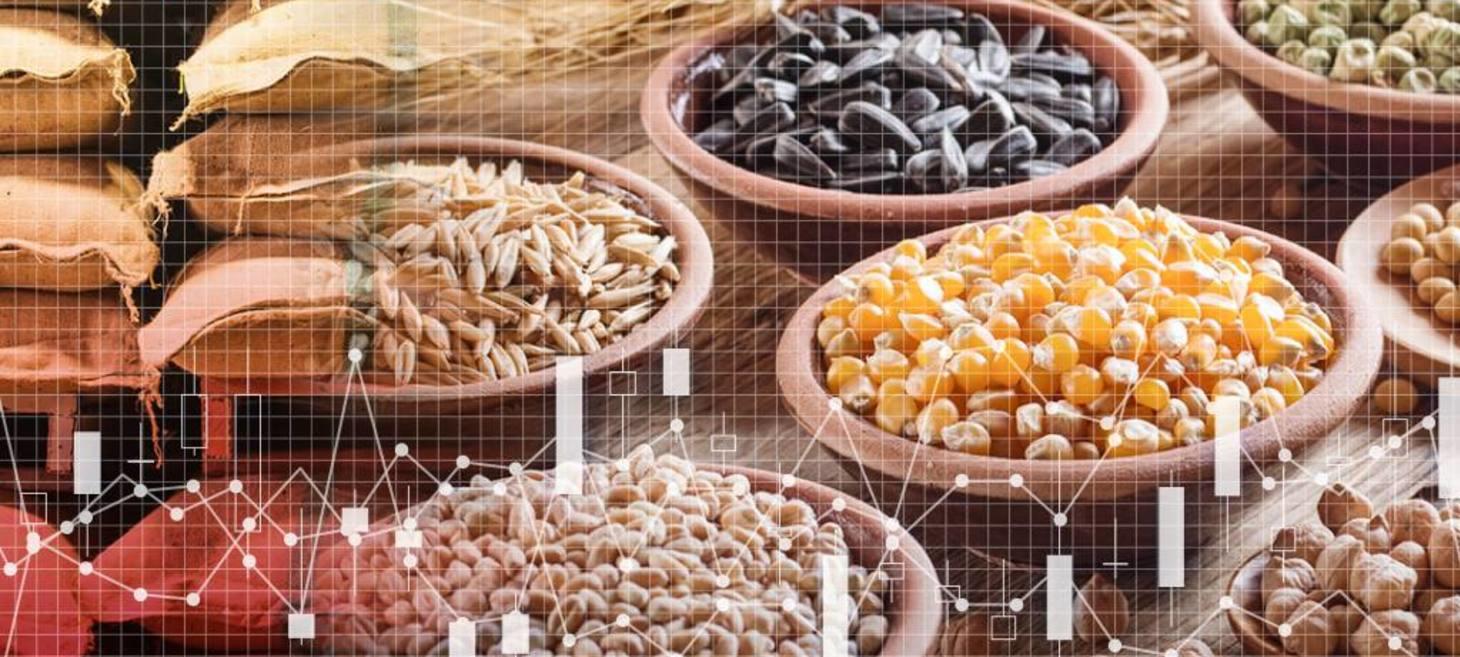China hoards over half the world's grain, pushing up global prices - Nikkei Asia