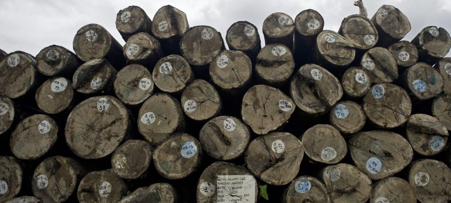 Myanmar teak shipments imported to U.S. despite sanctions, group says