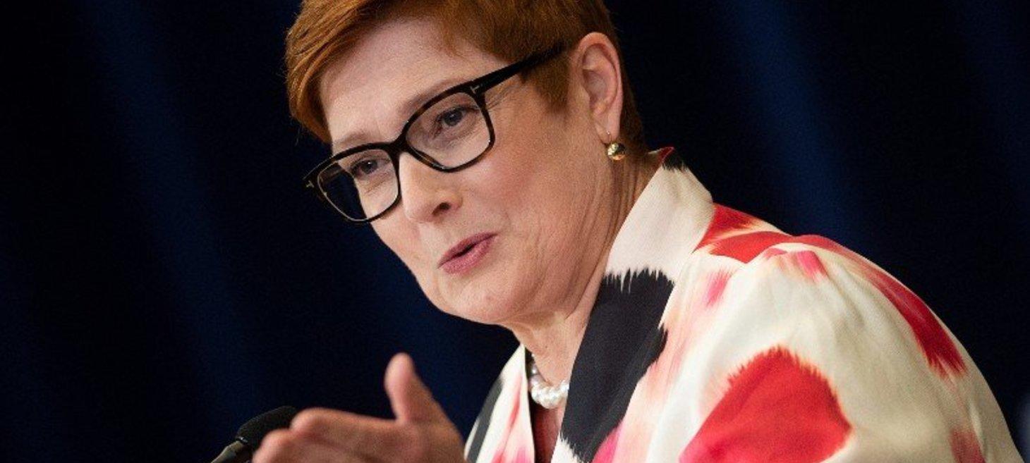 Payne calls for end to Myanmar's attack on civilians, release of Sean Turnell