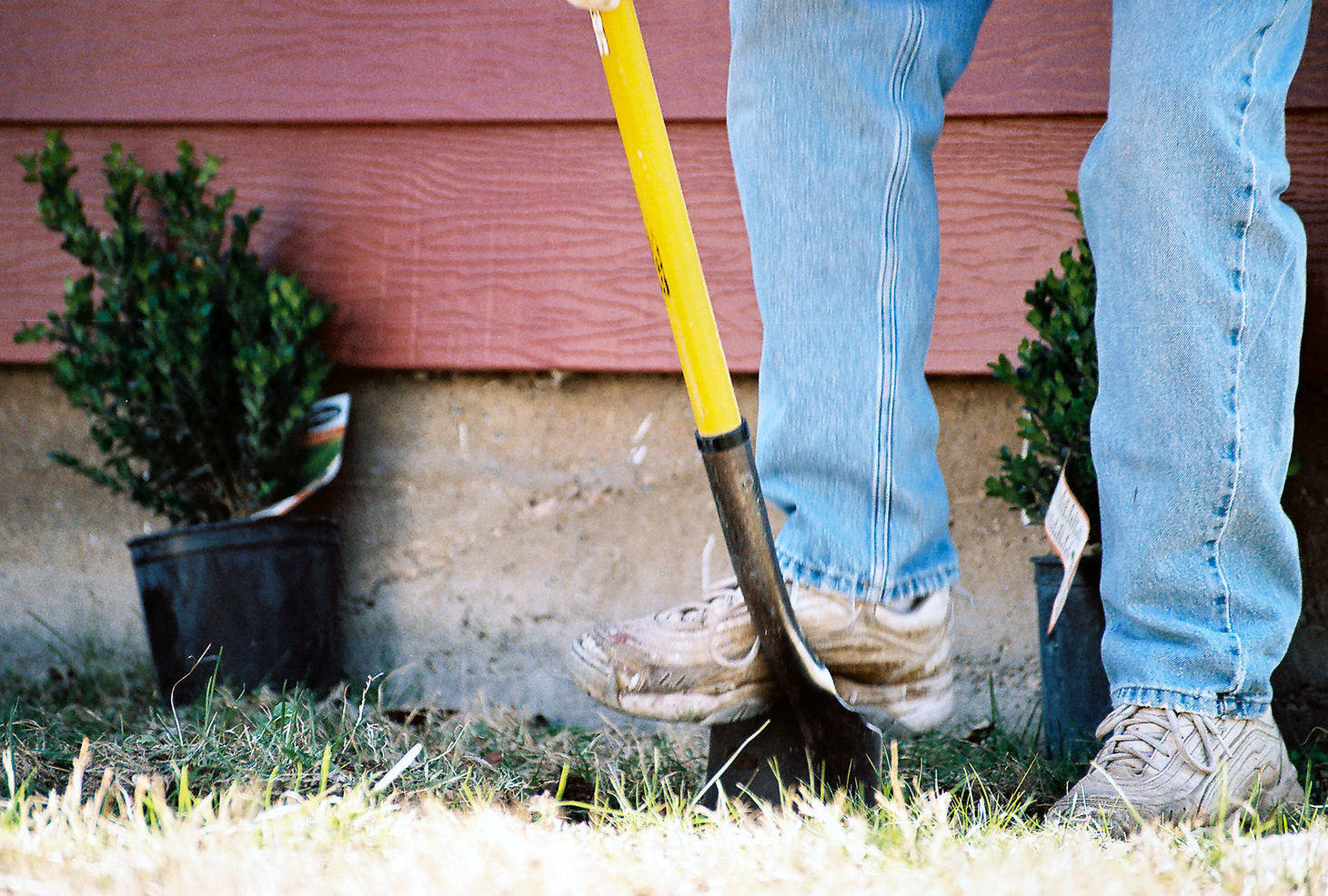 Video: How to Improve Clay Soils in Central Texas and Beyond