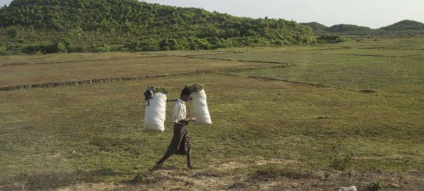 Myanmar Military Clashes With Arakan Army, Threatening Ceasefire