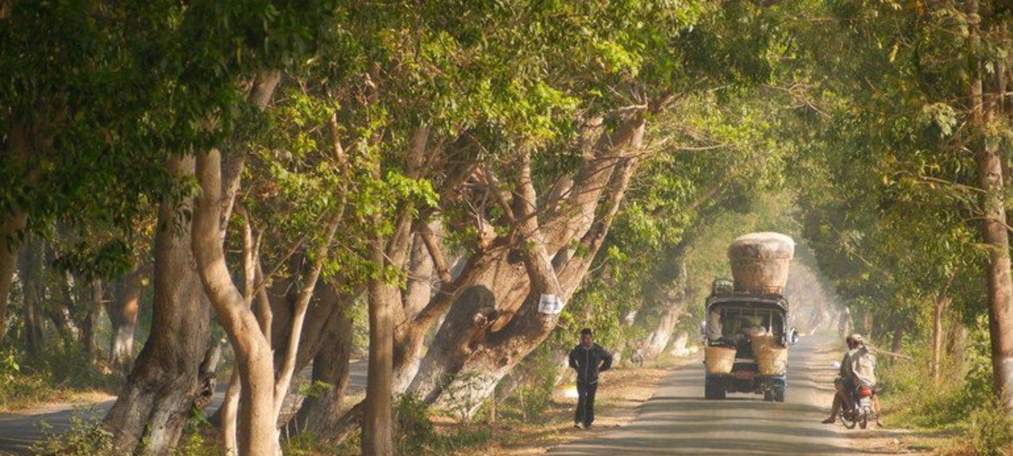 Stop weapons supply to Myanmar, rights expert urges