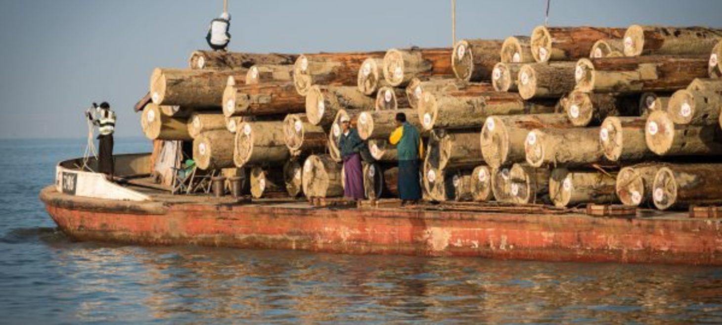 Myanmar Timber Exports Continue, Despite Western Sanctions: Report