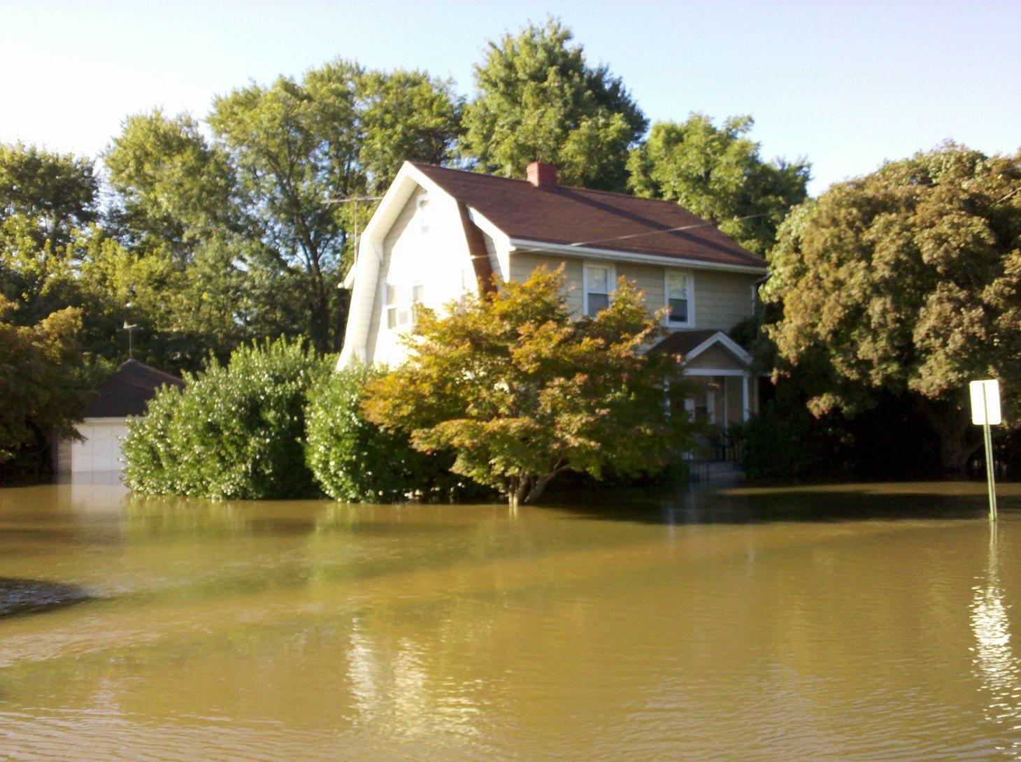 Recovering Your Landscape After a Flood