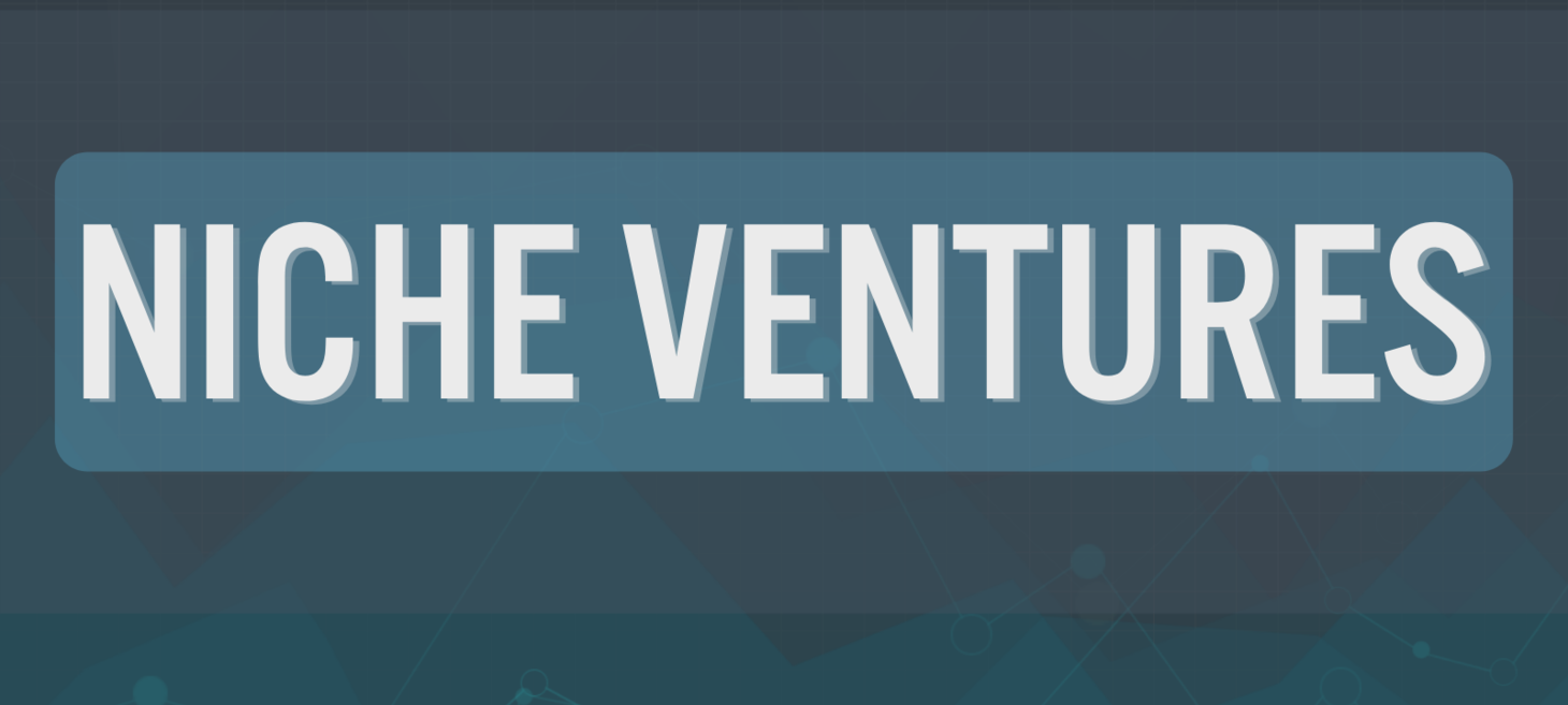 Announcing Niche Ventures! I'm Looking to Fund and Partner on Your Next Big Idea... - Niche Pursuits