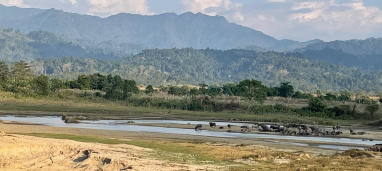 Challenging Extractivism in Kachin State