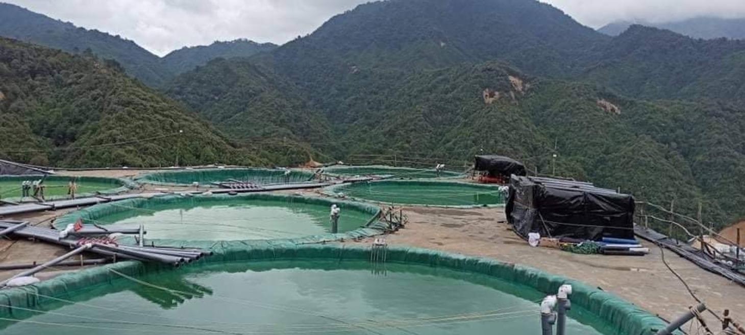 China-Backed Illegal Rare Earth Mining Surging in Northern Myanmar