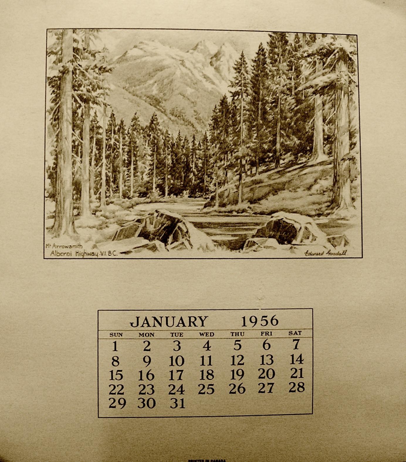 Planning a Salvia Garden Calendar for Next Season