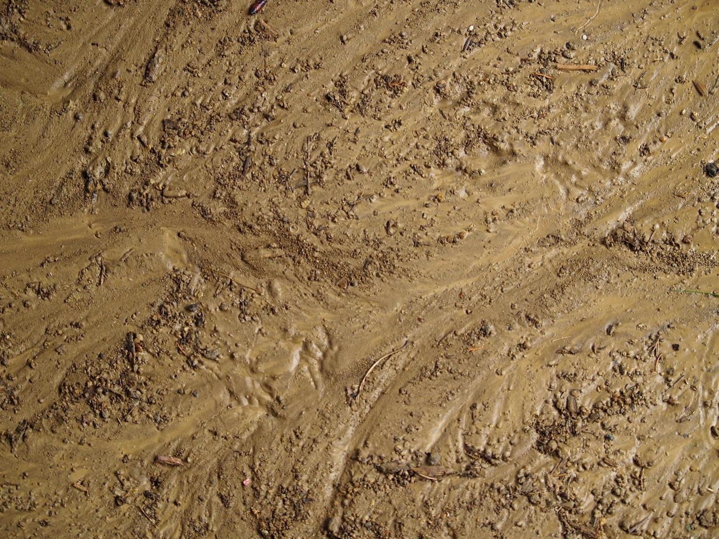 FEMA Tells Californians to Buy Flood Insurance Now