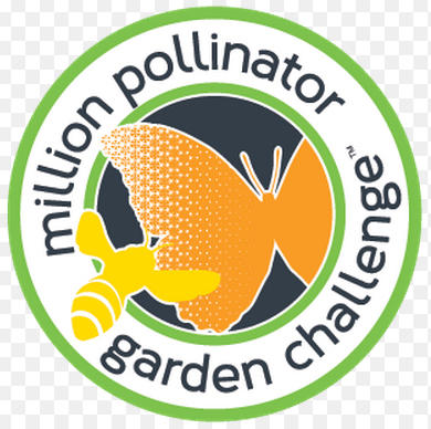 Three Ways to Help Monarch Butterflies This Autumn