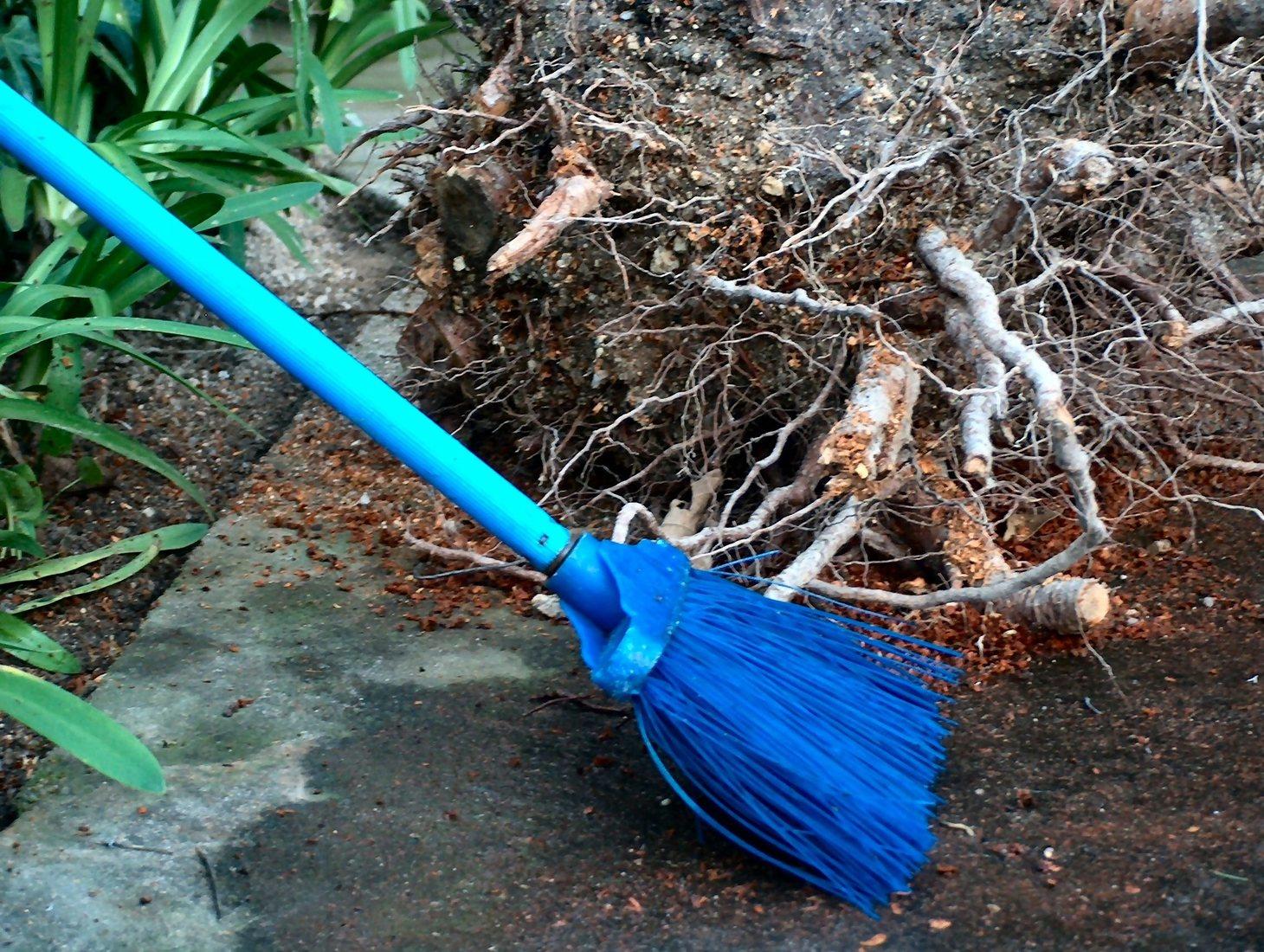 Fostering More than Beauty in the Garden