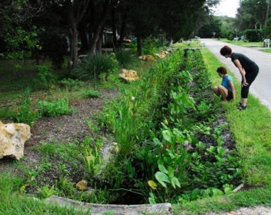 What a Swale Is and Why You Need One