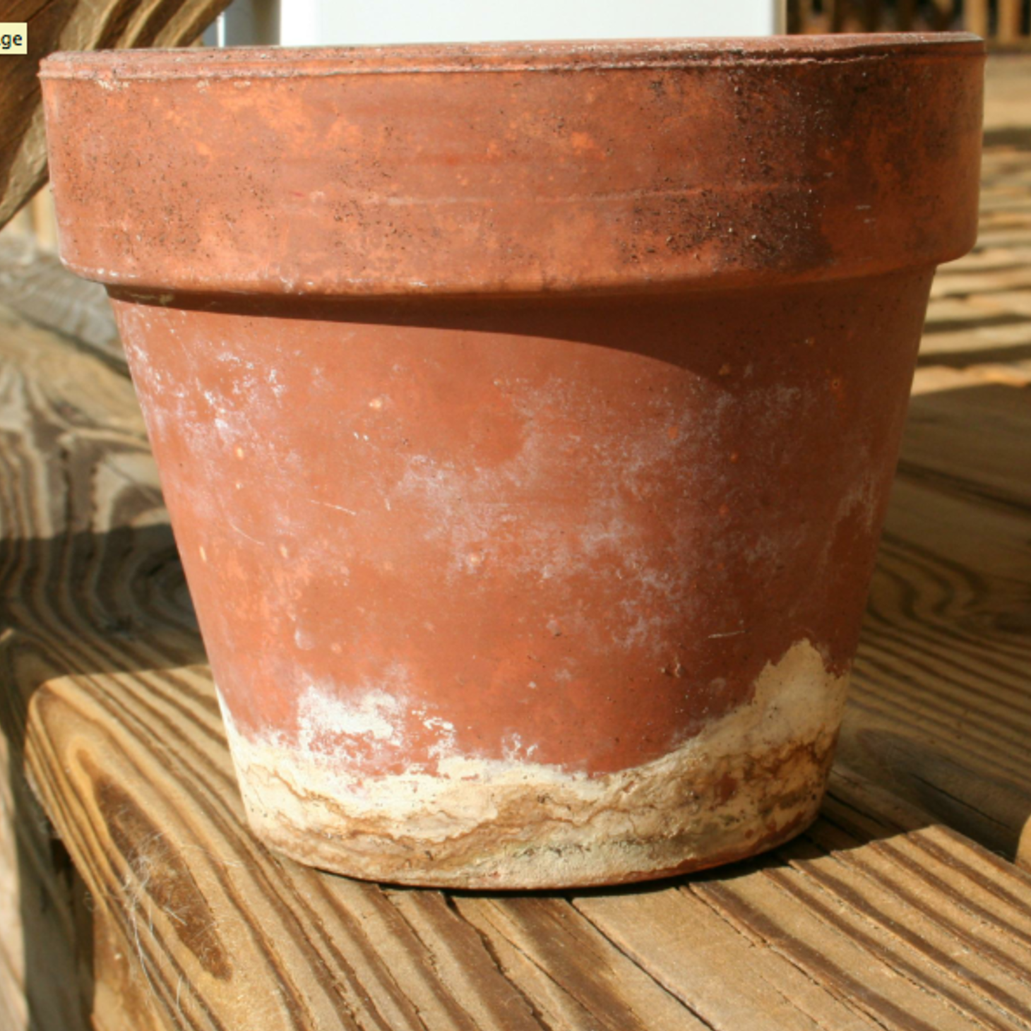 How to Clean Crusty Terra Cotta Pots