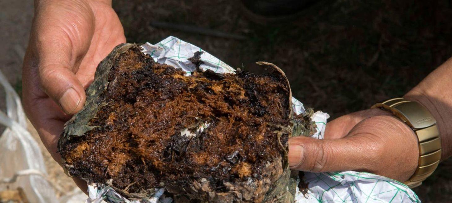 204kg of raw opium seized in eastern Myanmar