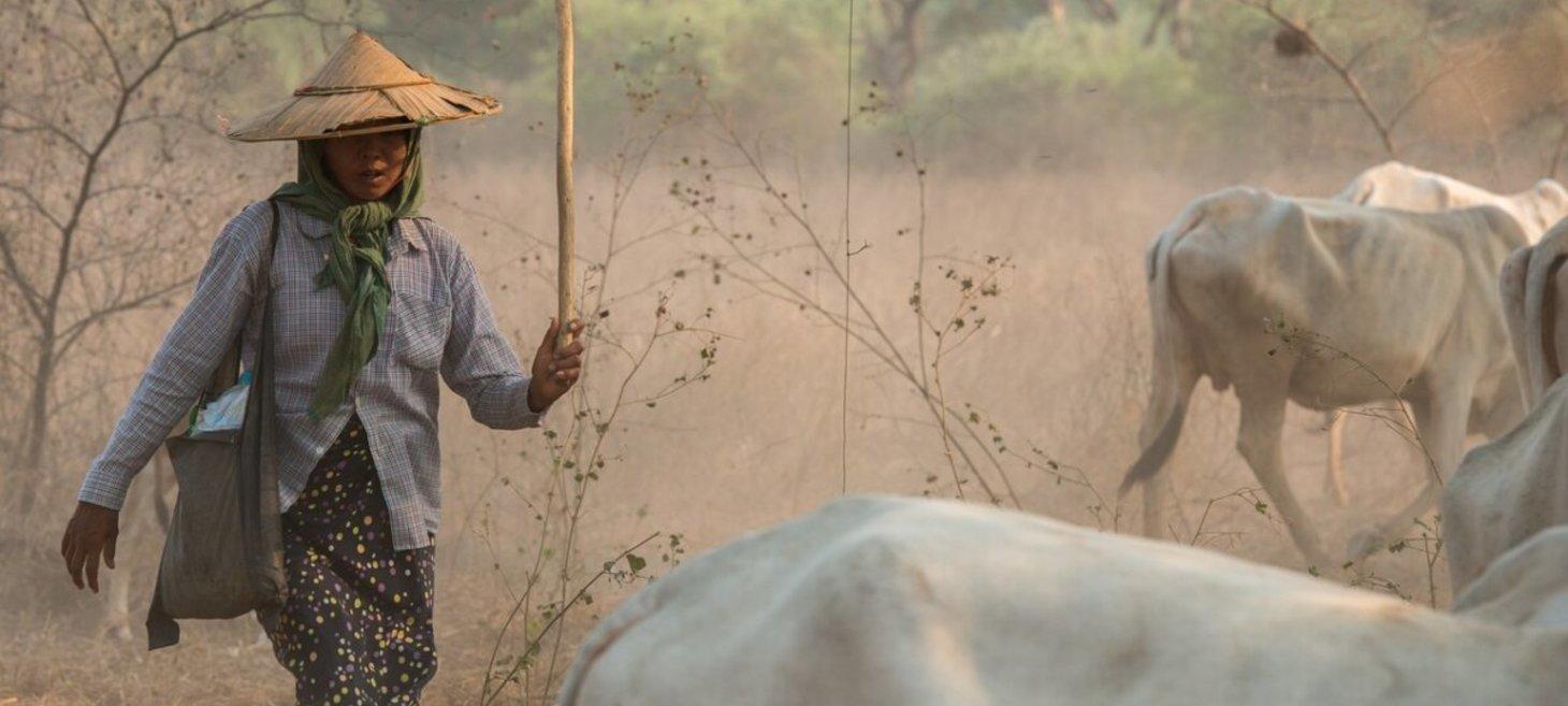 Conscription and Crisis: Myanmar’s human rights catastrophe