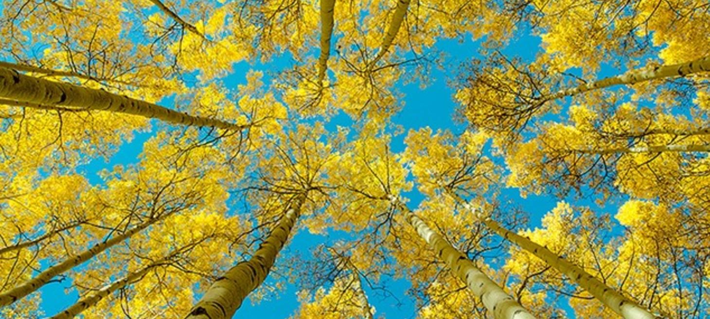 Things Are Looking Up! by Rick Lundh