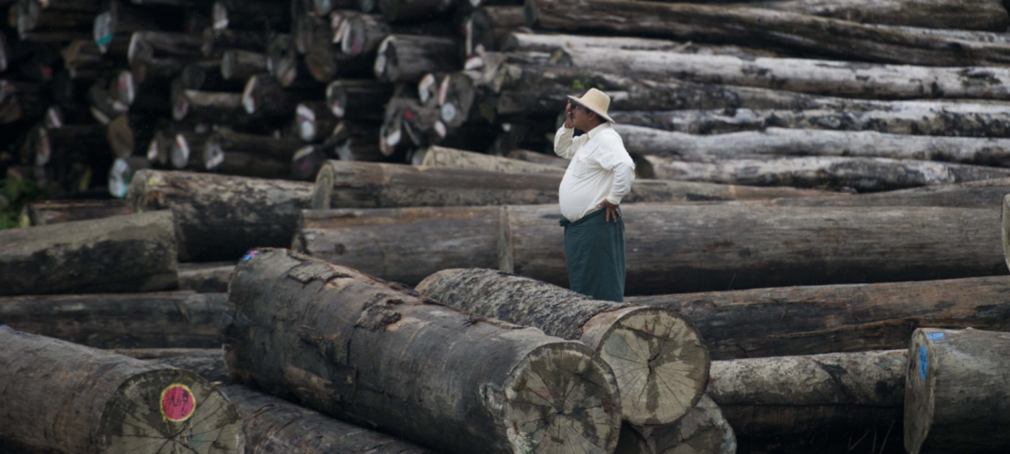 Myanmar's Conflict Timber Fuels Junta's War