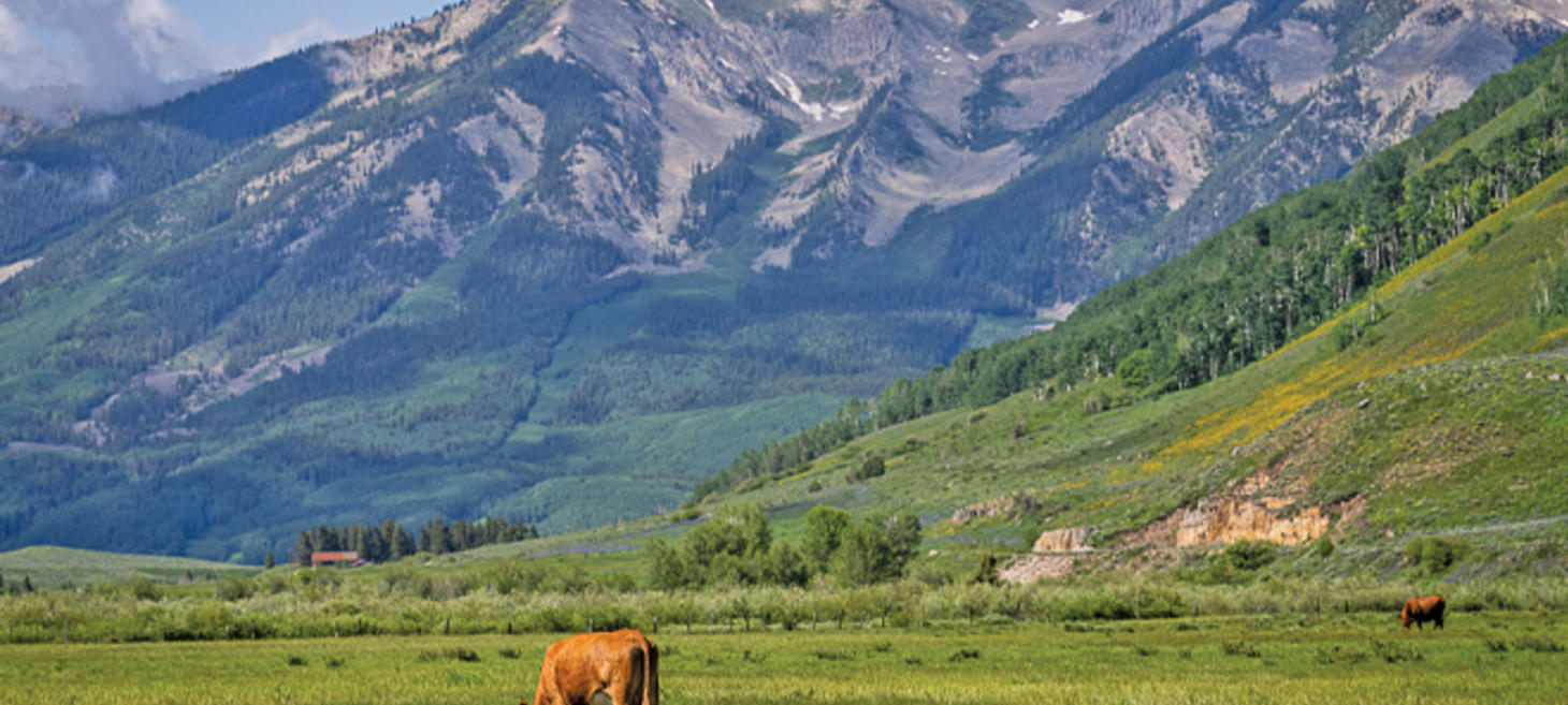 How ranchers view and deal with growing recreation