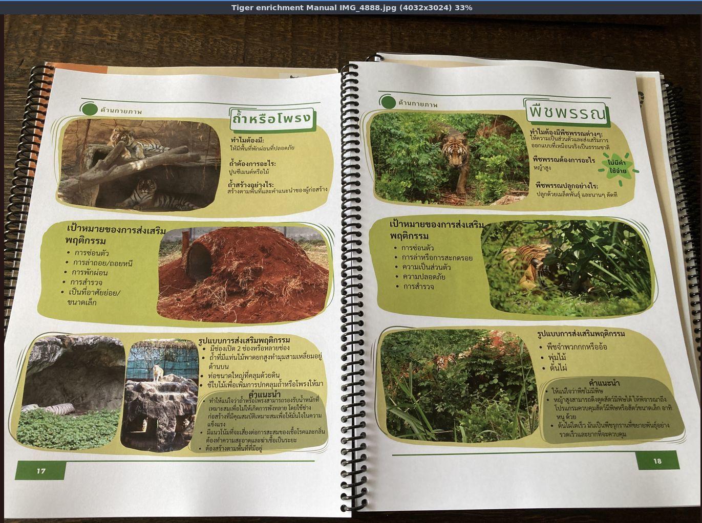 Field Reports - For Tigers