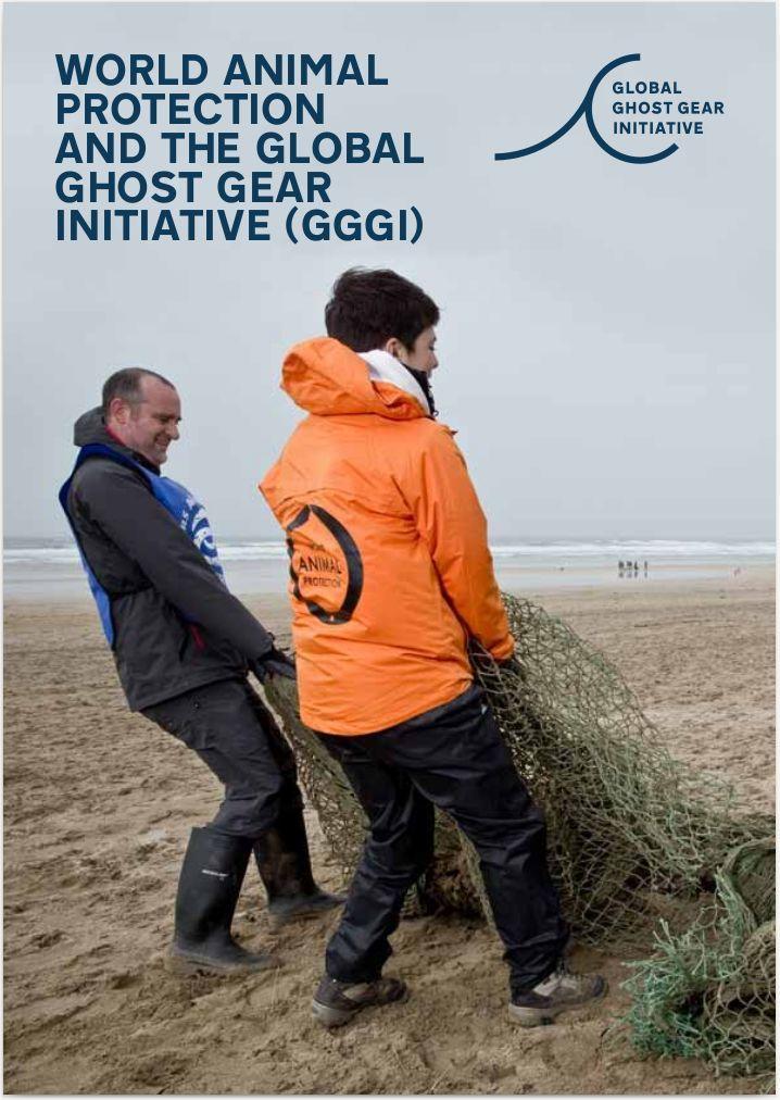 More on GGGI