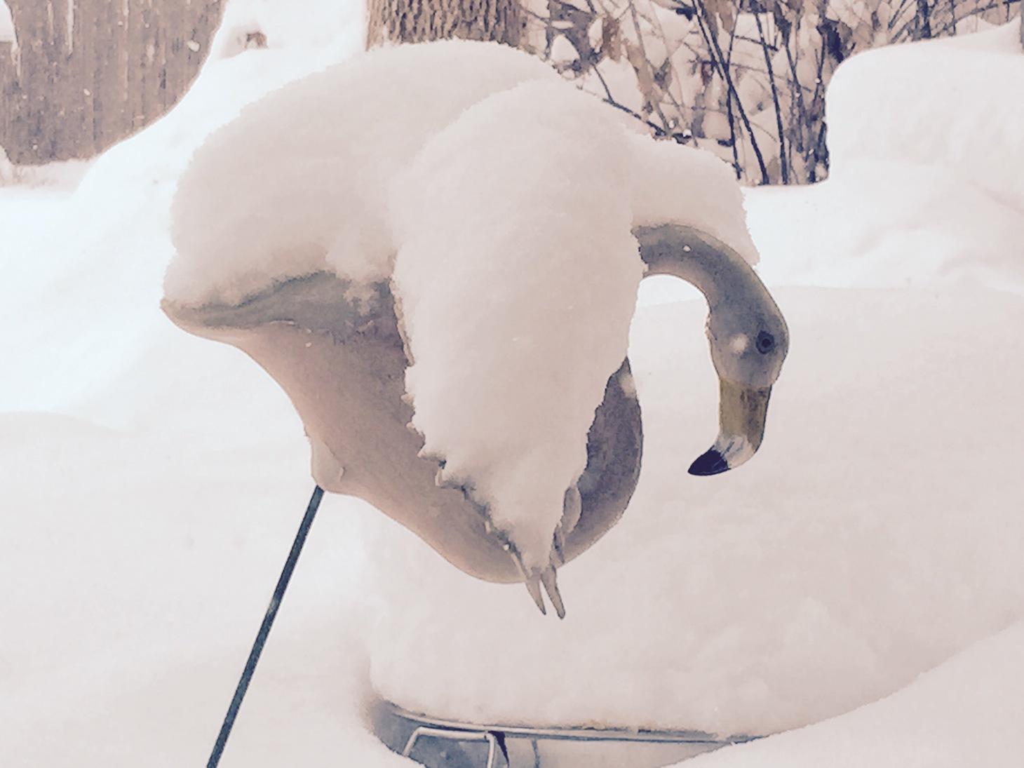 Tolerating Narnia by Planning for Spring Gardening