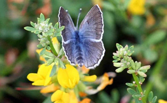 Learning to Work with Nature, Not Against It