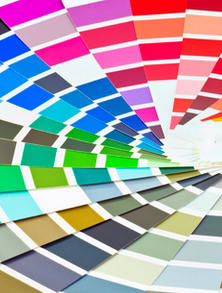 Color: From the Mysteries of Butterfly Vision to the Challenges of Drought