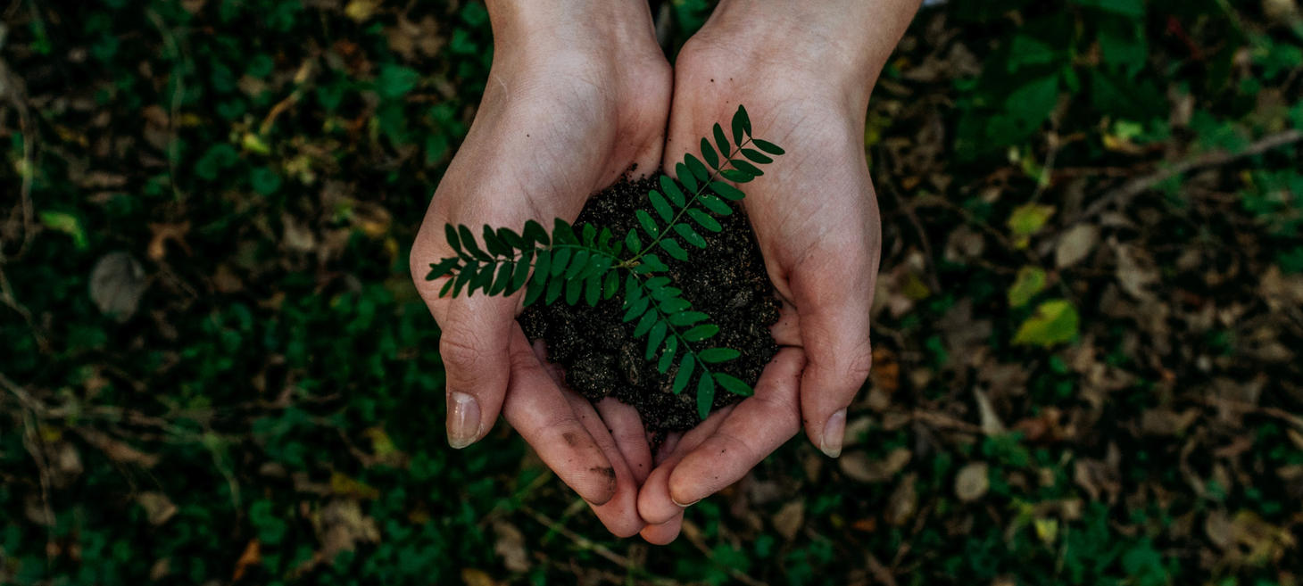 Touching the Earth