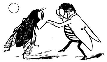 Welcoming Beneficial Insects and Warding Off Pests