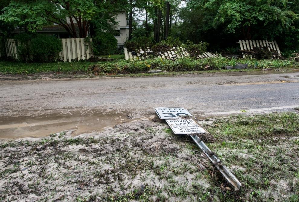 Remediating Flooded Gardens and Designing Rain Gardens