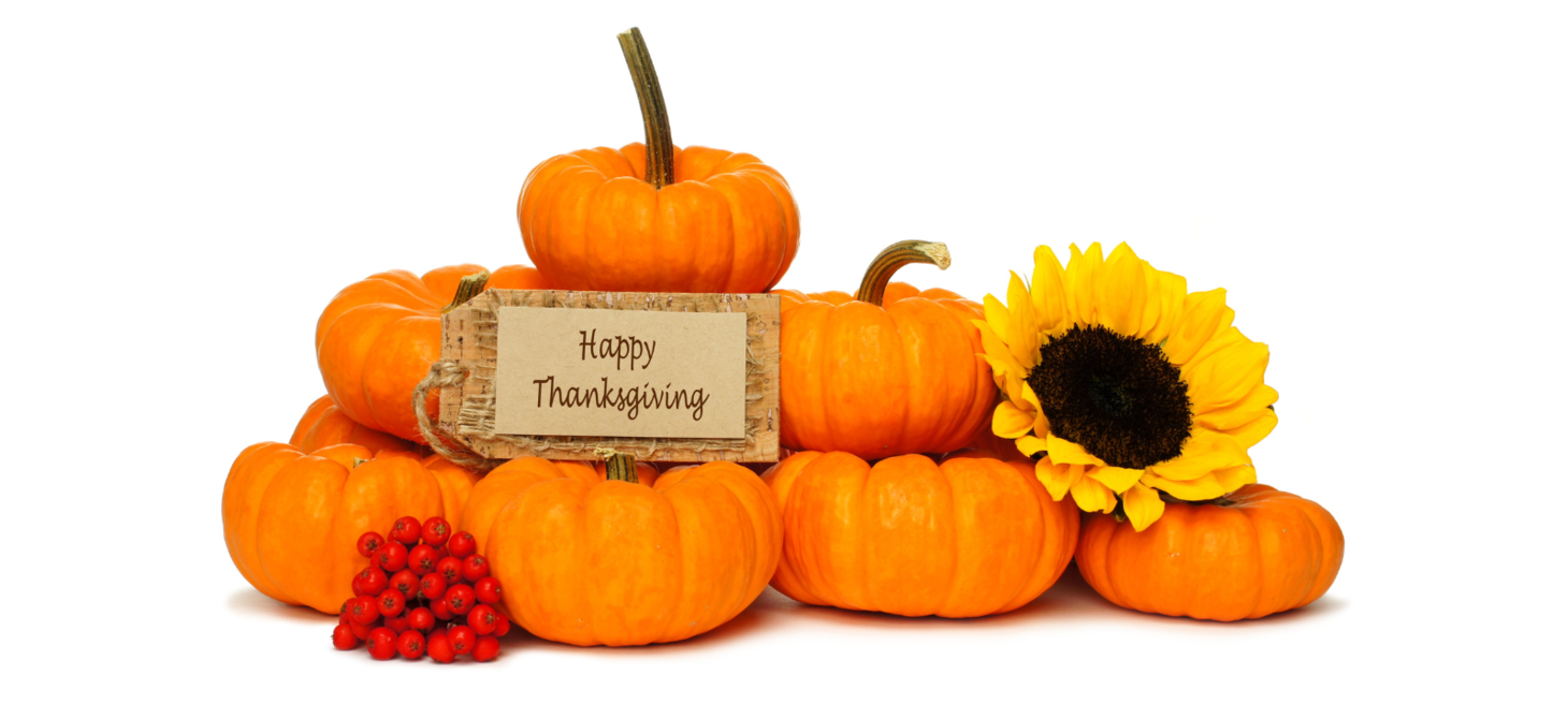 Happy Thanksgiving!!!